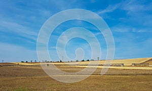 Landscape with sown wheat and rustic aqueduct