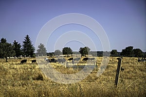 Landscape in Spain\'s Extremadura photographed from the road photo