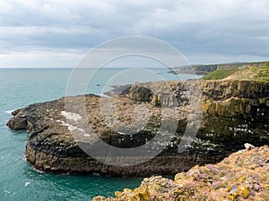 Landscape of the spectacular cliffs at Fowlsheugh,Scotland photo