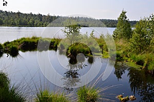 Landscape in Spring at Bottomless Lake, Walsrode, Lower Saxony