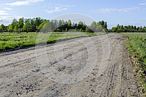 Landscape spring country dirt road on the sides of the sown fields and dove sky.