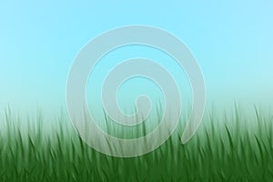 Landscape Spring and summer scene grass meadow with clear blue sky background