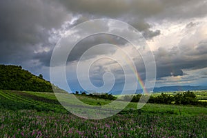 Landscape at the springtime with Deva citadel, Romania