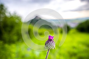 Landscape at the springtime with Deva citadel, Romania