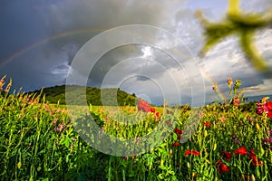 Landscape at the springtime with Deva citadel, Romania