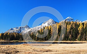 Landscape in St. Moritz photo