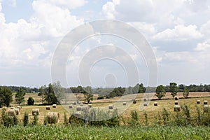 Landscape of a stack of hay in rural areas during fall season