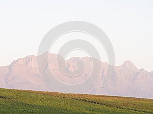 Landscape in Stellenbosch, South Africa.