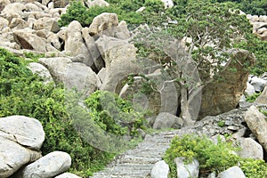 Landscape steps leading up a hill