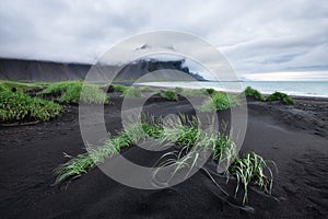 Landscape in the Stokksnes, Iceland. Black sand on the sea shore and high rocks. Natural landscape in the Iceland.