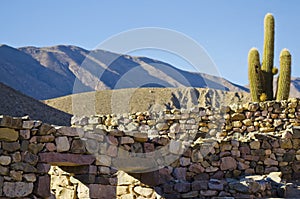 Landscape of stone building with a cactus in La Quebrada de Humahuaca photo