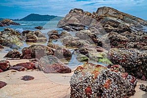 Landscape stones line up on the beach