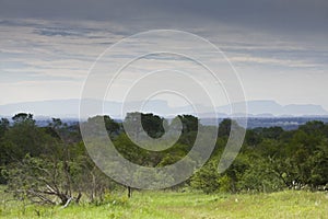 Landscape of storm , Kruger, South Africa