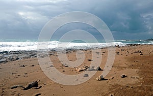 Landscape with stormy sea waves break about the empty beach against the cloudy sky