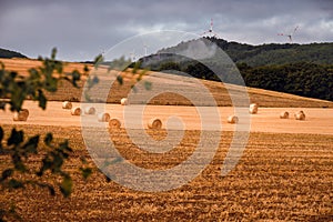 Landscape with straw bales in Rhineland-Palatinate, Germany