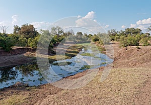 Landscape of a stream in the Zambezi National Park, Zimbabwe photo