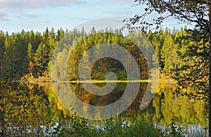 The landscape stretches beyond the river.Beautiful autumn forest.