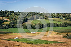 Fields in Poland