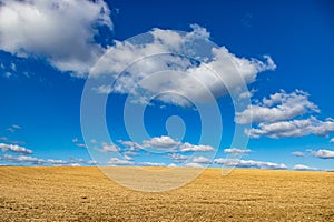 Landscape of stubble field after harvest, Dutch agricultural land