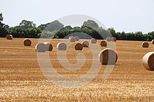 Landscape with a stubble field with straw bales