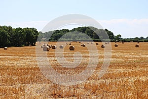 Landscape with a stubble field with straw bales