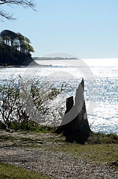 Landscape with a stump of a broken tree in foreground and a peninsula in the background