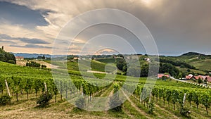 Landscape with Styrian Tuscany Vineyard