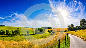 Landscape in summer with bright sun