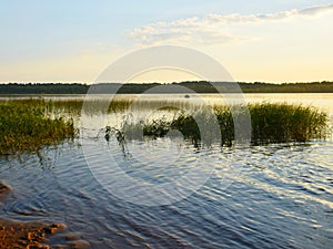 Summer everning on the lake. photo