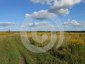 Landscape in the summer field with clouds.