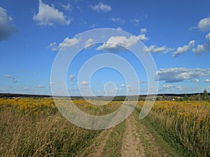 Landscape in the summer field with road and clouds.