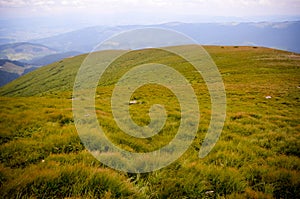 Landscape of summer grass at top mountaine