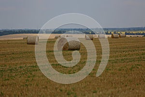 Landscape summer harvest haystacks mowed field