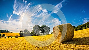 Landscape in summer with hay bales on a field