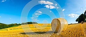 Hay bales on a field photo