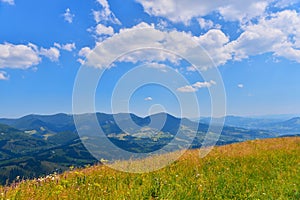 Landscape of summer mountains in sunny weather
