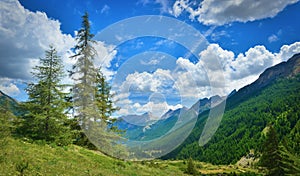 Landscape of summer mountains in sunny weather