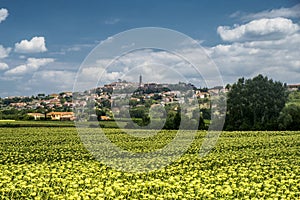 Summer landscape near Volterra, Tuscany