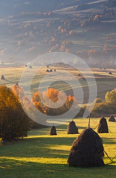 Landscape In the sunlight haystacks on autumn mountain meadow.