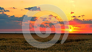 Landscape, sunny dawn