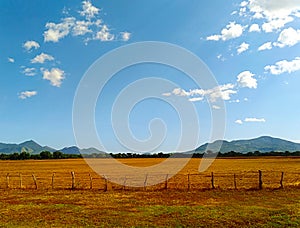 Landscape of a sunny day in the countryside. Road trip, vacation and rural area concept