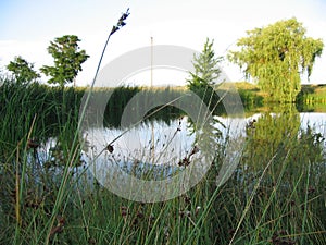 Landscape on a sunny day.