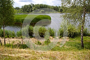 Landscape sunny lake