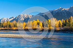 Landscape during sunrise. Autumn trees on the river bank. Mountains and forest. Reflections on the surface of the river. Vivid col