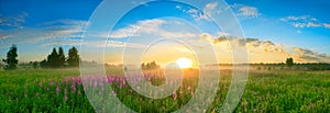 Landscape with the sunrise, a blossoming meadow panorama