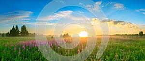 Landscape with the sunrise, a blossoming meadow panorama