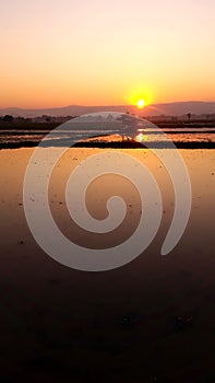 Landscape, Sunrise in the winter morning at Chaing Rai Thailand.