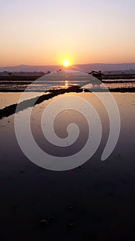 Landscape, Sunrise in the winter morning at Chaing Rai Thailand.