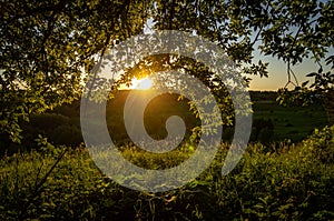 Landscape at sunset in Central Russia.