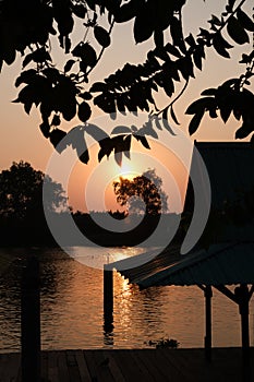 Landscape of sunset and silhouette of tree on riverside with great sparkling light reflected on surface of the river.